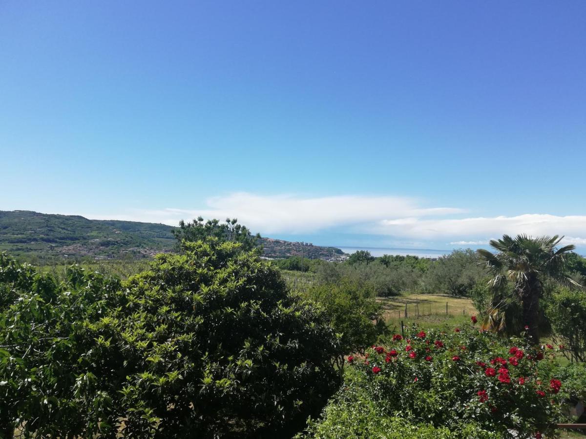 Peaceful View Apartment โคเปร์ ภายนอก รูปภาพ