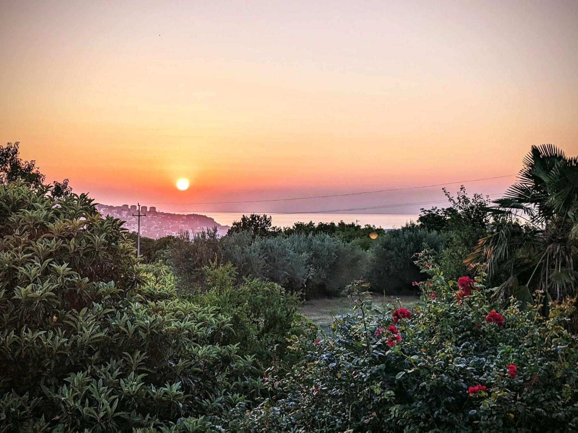 Peaceful View Apartment โคเปร์ ภายนอก รูปภาพ